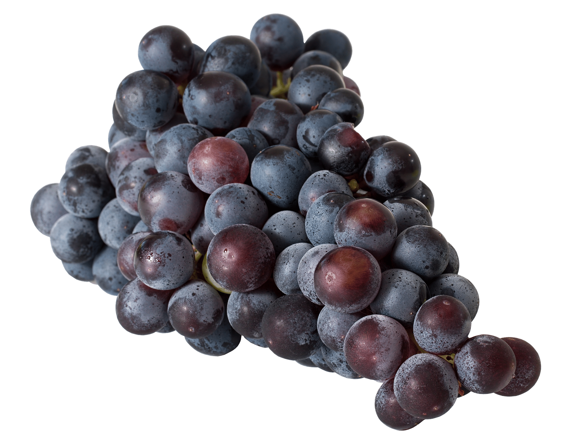 grappe-raisin-vin